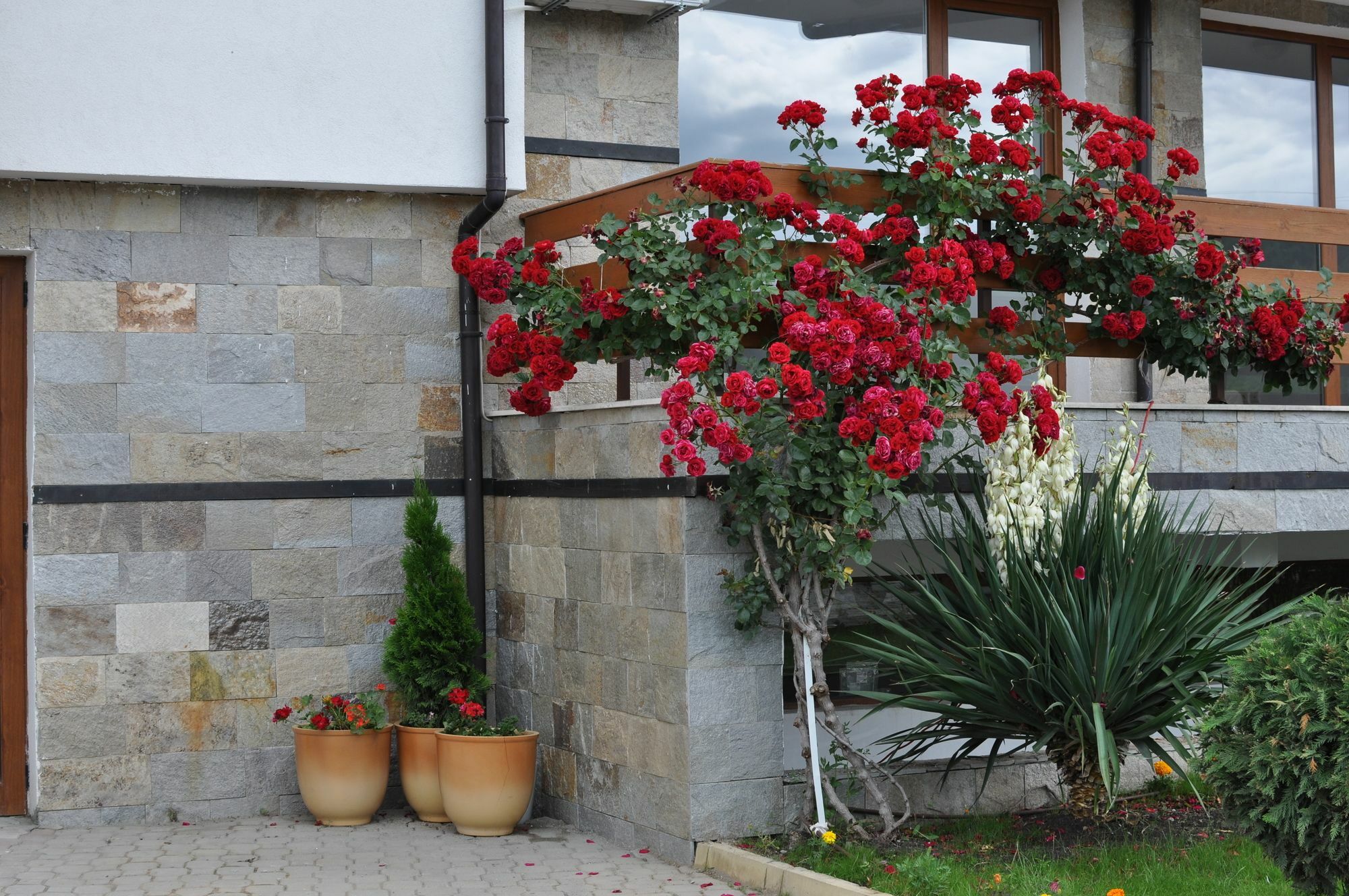 Gardenia Hills Hotel Sunny Beach Buitenkant foto